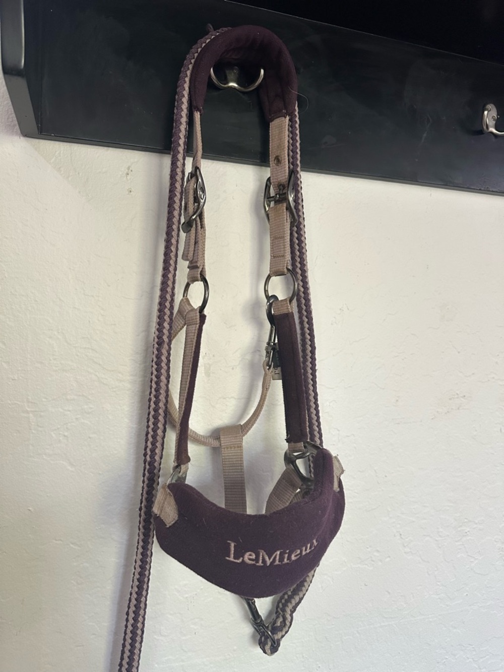 Lemieux horse halter